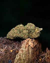 Les Fleurs du Bien cbd hemp flower