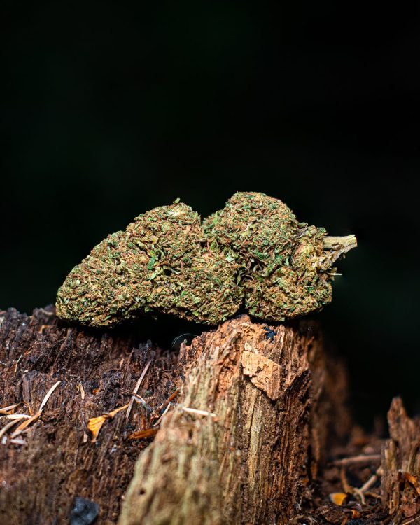 Les Fleurs du Bien cbd hemp flower