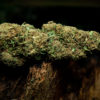 Flower Power CBD 26% (FR)