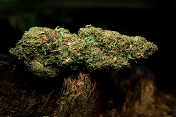 Flower Power CBD 26% (FR)