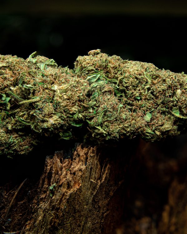 Flower Power CBD flower