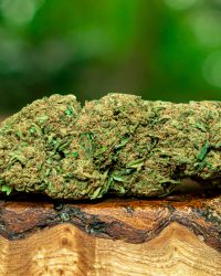 Flower Power CBD flower