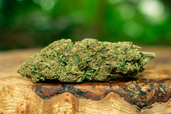 Flower Power CBD 26% (FR)