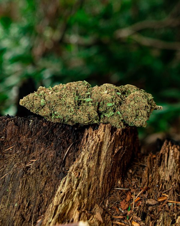 Flower Power CBD flower