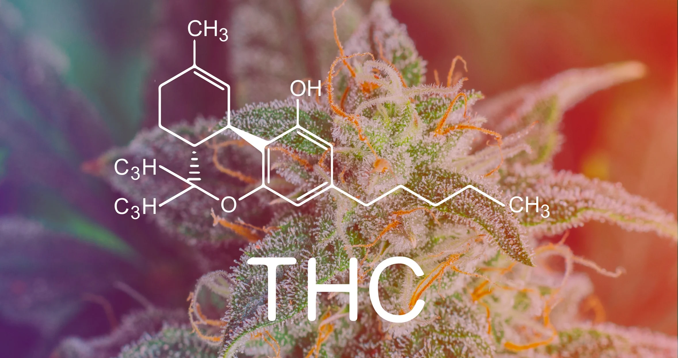 Effetti del THC