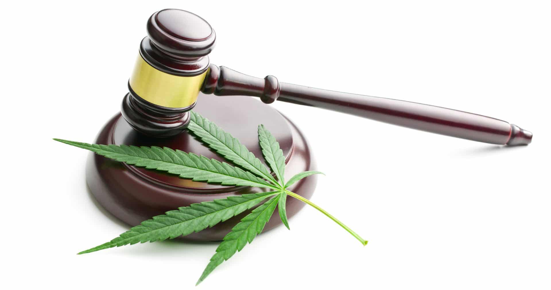 Legge sulla cannabis