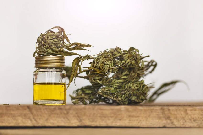 olio di canapa legale