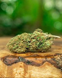 Sparkling Sunset – CBD 14%