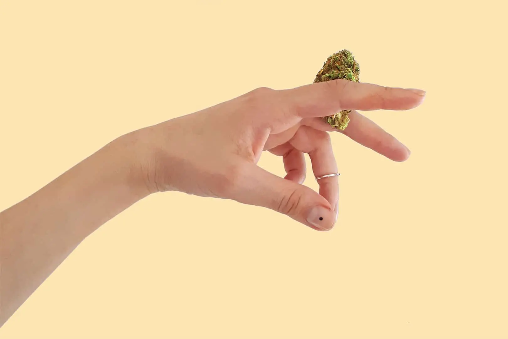 promo codes legal weed