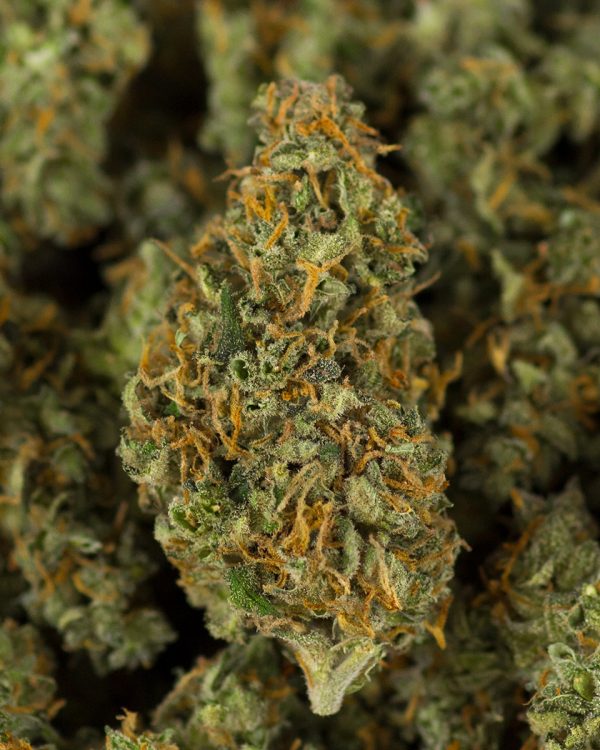 Legal weed flower 20% CBD