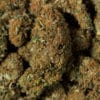 Smok'n'bubble fiore di cannabis legale