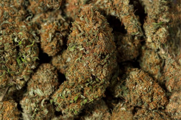 Smok'n'bubble fiore di cannabis legale