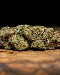 Frosty Mandarin CBD flower