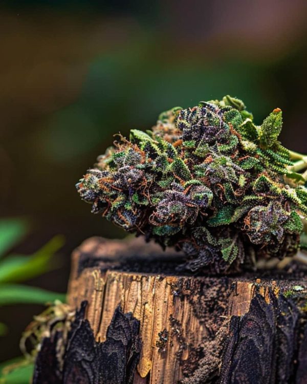 Bluberry CBD Flower