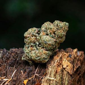 Velvet Amnesia CBD 16% (FR)