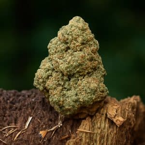 Chill Guru CBD 16% (FR)