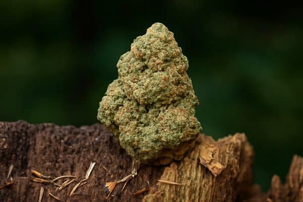 Chill Guru - CBD 16%
