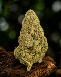 OG Kush — Ladymary indoor CBD flower