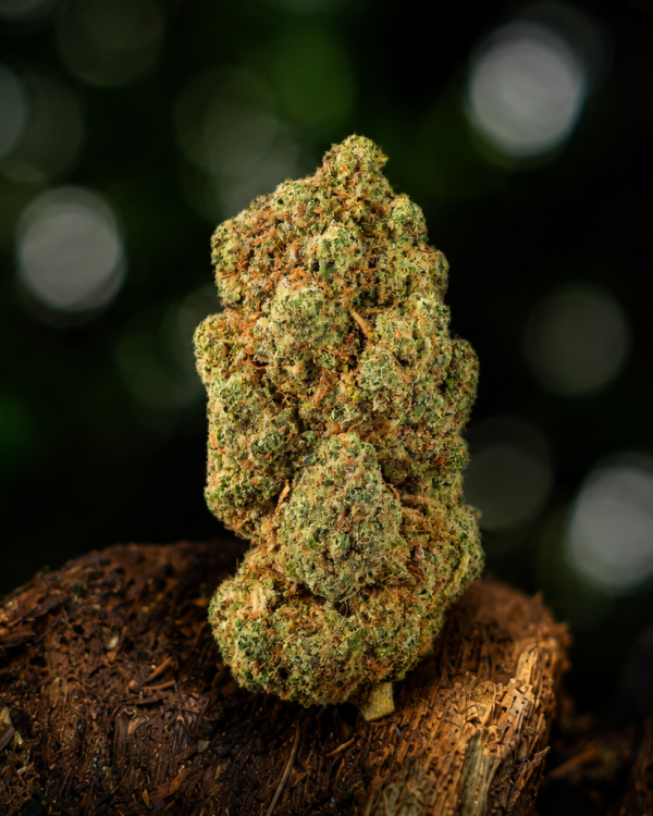 Flower Power — Ladymary indoor CBD flower